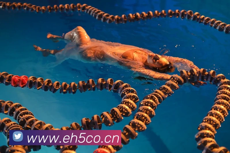 乐竞首页品牌故事