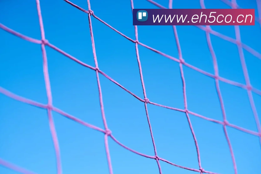 乐竞首页服务体系